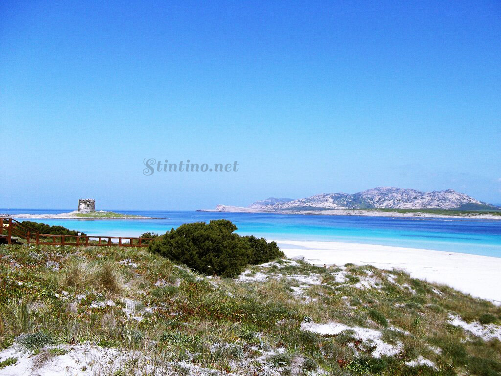 Spiaggia La Pelosa