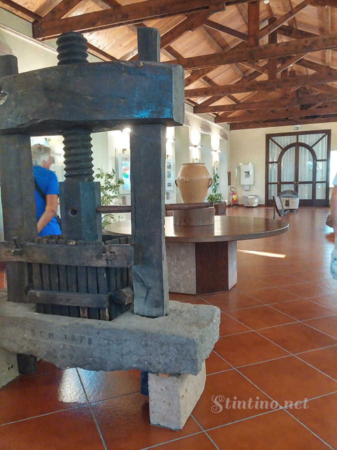 Museo Sella e Mosca ad Alghero