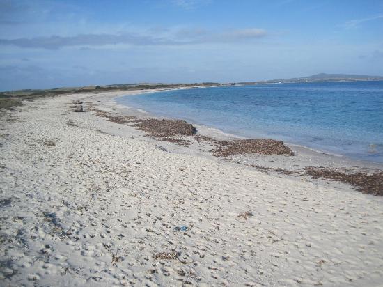 Spiaggia Pazzona